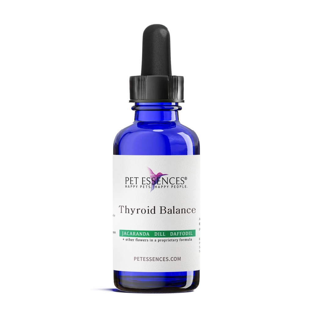 Kilpirauhasen tuki täydentää, 1oz - nestemäinen kukka Essences koirille, Kissat ja hevoset, edistää Kilpirauhasen tasapaino ja emotionaalinen hyvinvointi - turvallinen, helppokäyttöinen Formula kaikille roduille