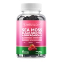 Sea Moss 4000mg Gummies kanssa Ashwagandha, Elderberry, Apple Siideri viinietikka, rakkoranneke, Burdock juuri ...