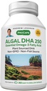 ANDREW LESSMAN Algal DHA 250mg 360 Softgels - Plant-Based Omega-3 Oils, Natural Marine Algae, High DHA, Ei-GMO, High Potency, No Stoach Upsed, No Fishy Aftertaste. Pieni Helppo niellä
