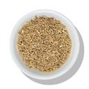 Evergreen Yrtit Ashwagandha Cut & Sift 8 oz. - Intian Ginseng tai Winter Cherry