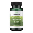 Swanson Spearmint Leaf (Mentha Spicata) - Full Spectrum Herbal Supplement Tukeva Ruoansulatusterveys & Lievä Vatsa kysymyksiä - Luonnollinen Formula tukea terveys & hyvinvointi - (60 kapselia, 400 mg Each)