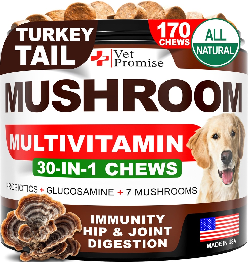 Mushroom för hundar - 170 Chews - Turkiet Tail - Mushroom Supplement for Dogs - Lions Mane - Reishi - Immunity Support Multivitamin Vitaminer - Gemensam Hälsa - Energi - Gut - Hud - Tillverkad i USA