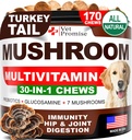 Mushroom för hundar - 170 Chews - Turkiet Tail - Mushroom Supplement for Dogs - Lions Mane - Reishi - Immunity Support Multivitamin Vitaminer - Gemensam Hälsa - Energi - Gut - Hud - Tillverkad i USA