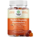Voimakas päivittäin monivitamiini Gummies aikuisille - Hyvinvointi Blend D-vitamiini C E B12 Sinkki ja Biotiini - Aikuisten vitamiini Gummy for Energy and Immuniteetti - Ei-GMO Gluteeniton ja Halal Gummies 30 Count