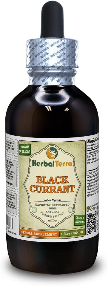 Mustaherukka (Ribes nigrum) Tincture, kuivattu lehdet Liquid Extract (Brandin nimi: HerbalTerra, ylpeästi valmistettu Yhdysvalloissa) 4 fl.oz (120 ml)