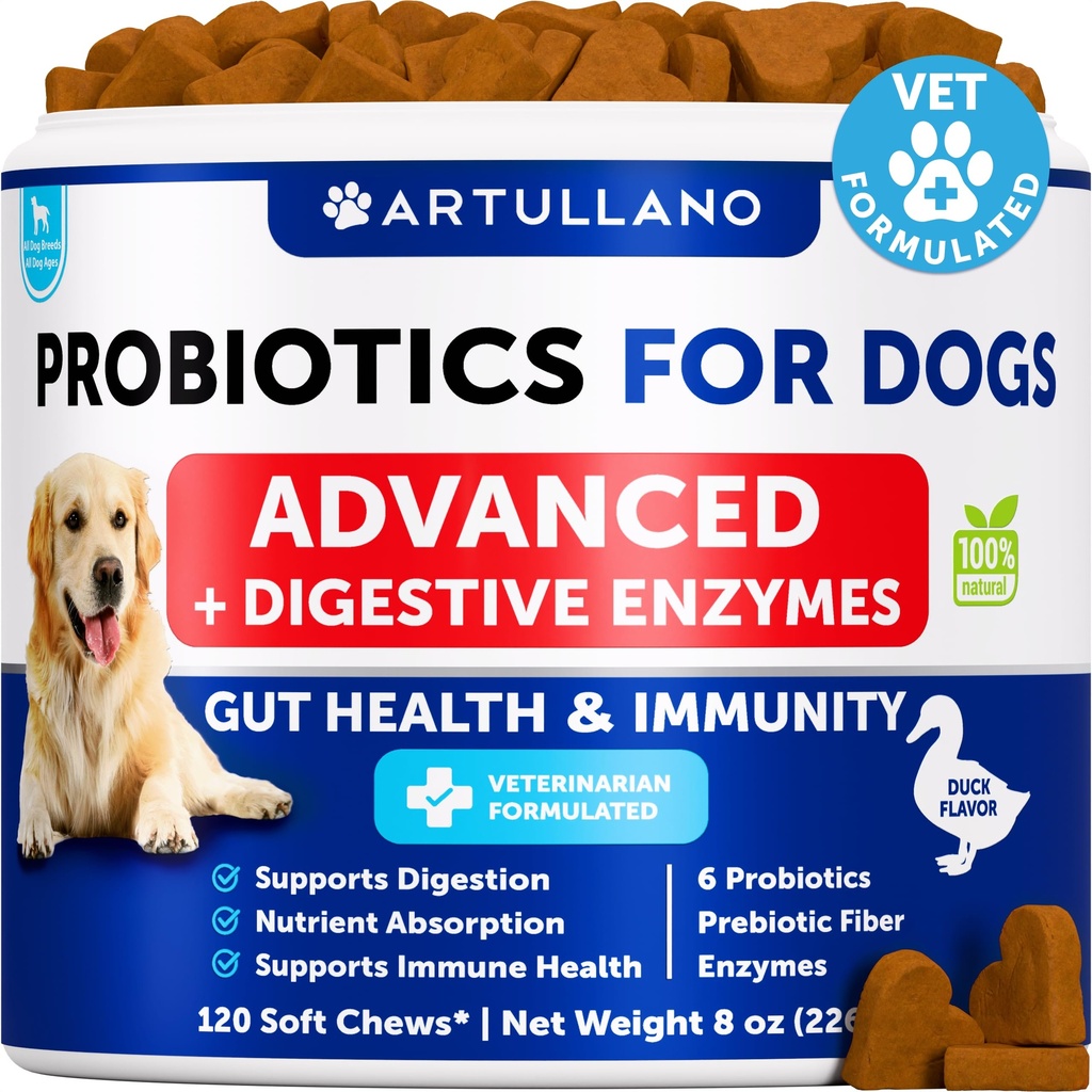 Probiotika för hundar - Support Gut Health, Itchy Skin, Allergier, immunitet, Yeast Balance - Dog Probiotika och Digestive Enzymes med prebiotika - Minska Diarré, Gas - 120 Probiotiska Chews för hundar