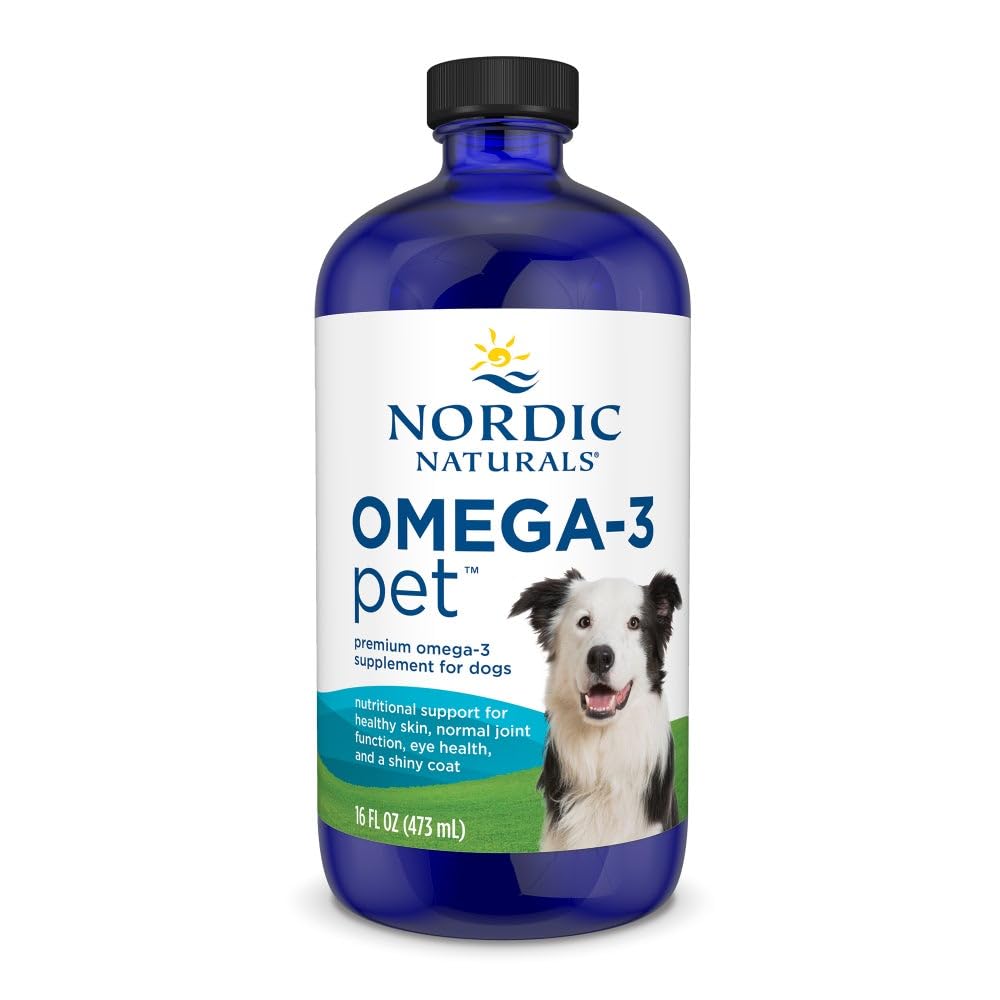 Nordic Naturals Omega-3 Lemmikki, Mauttomat - 16 oz - 1380 mg Omega-3 Per Teaspoon - Fish Oil for Large to very large Dogs with EPA & DHA - Edistää sydän, iho, takki, & Immuuniterveys