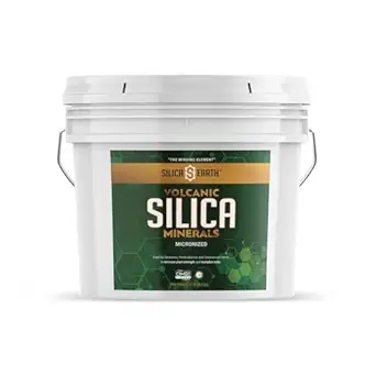 Vulkaaninen piidioksidi Micronized- 10 lbs