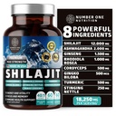 Ren Himalayan Shilajit för kvinnor och män [50% Fulvic Acid] Bättre än harts med Ashwagandha, Ginseng, gurkmeja, Gingko Biloba, Stinging Nettle, Cordyceps för att stödja energi och immunitet, 60Caps