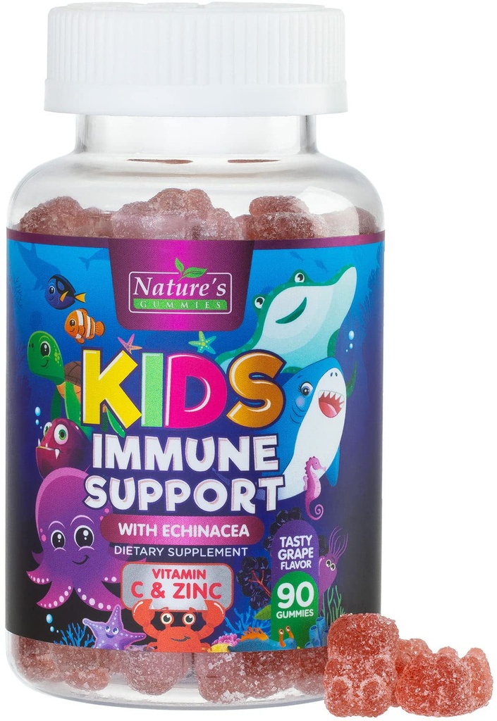 Lapset Immunosupport Supplement Gummies - Daily Childrens Vitamiinit C, Sinkki & Echinacea - Gummy for Kids Immuniteetti Tuki, ikä 4 ja ylös, Natural Berry Flavor, Ei-GMO, Gluteeniton & Vegan - 90 Gummies