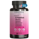 VINATURA Lactobacillus Rhamnosus, Reuteri, Gasseri, Plantarum, Crispatus, Acidophilus Probiootit - Probiootit naisille *USA Made & Tested * Naisten emätinterveys, suolisto ja ruoansulatus - 30 kapselia