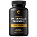 Lactobacillus Salivarius Probiootti Supplement 30 miljardia PMY 240 tablettia Probiootit miehille ja naisille Tuet Ruoansulatus / hammashoito Vegaani gluteeniton non-GMO (240, Lactobacillus Salivarius)
