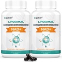 Orgabay Liposomal NAD+ Täydennys 500 mg, suuri imeytyminen, NAD+:n lisääminen TMG 250 mg:n annoksella, todellinen NAD Plus tehokkaampi kuin Nikotinamidi Ribosidi, tukisoluenergia, terve ikääntyminen 120 Softgelia