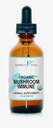 Organic Mushroom Immune Defense Support ... Drops kanssa maksimaalinen imeytyminen ja biologinen hyötyosuus Vegan, Herbal 525mg per tarjoilu ● 2 kuukautta tarjonta