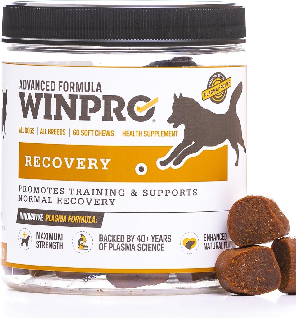 WINPRO Recovery Chews koirille, plasma-Powered aktiivisia koiria, immuunijärjestelmän tuki, ja koiran koulutus tukea kilpailun ja urheilu lihasten hyödyntämistä ja agility, 60 Count, Valmistettu USA