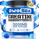 Kreatiini Monohydraatti Gummies miesten & naisten 5000 mg Creatiini Monohydraatti per tarjoilu lihasten tuki Energy Boost 120 Count Pureskella 5g Creatiini Sugar Free Vegan (1 pakkaus, sininen vadelma)