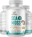 Organiska irländska Sea Moss Pills - Wildcrafted Dr Sebi Inspired Seamoss Blend med gurkmeja, Burdock Root & Bladderwrack, Förbättrad med Black Pepper - 60 kapslar