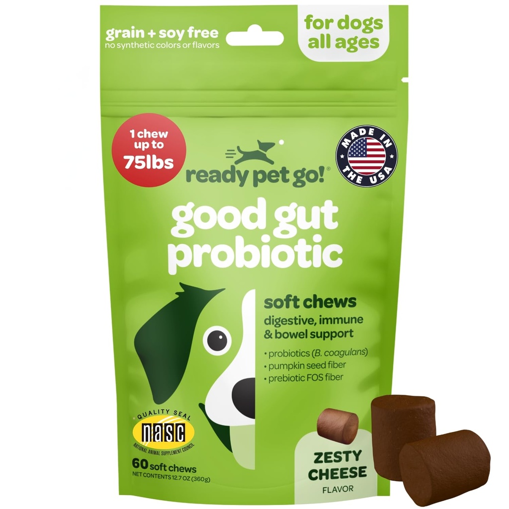 Probiootti purukumia koirille Gut Health ... Maukasta Pre ja probiootteja koirille Ruoansulatusta kurpitsa koira Probiootteja ja digestiivisia entsyymejä...