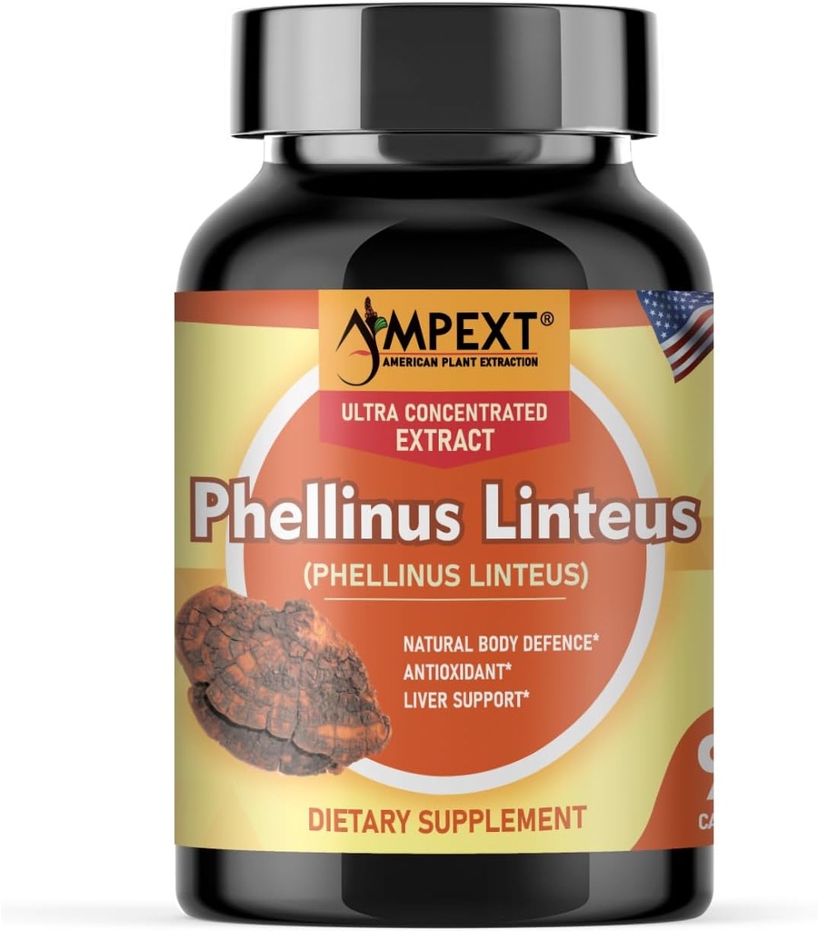 Phellinus linteus Mushroom Extract - Premium laatu, Vain hedelmänmuodostajat, antioksidantti, immuuni Booster, Maksan tuki, 90 Veg Caps.