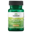 Swanson L. Plantarum - Ruoansulatuskanavan Balance & Bowel Säännöllisyys - Natural Formula auttaa vähentämään turvotusta - (30 kasviskapselia)
