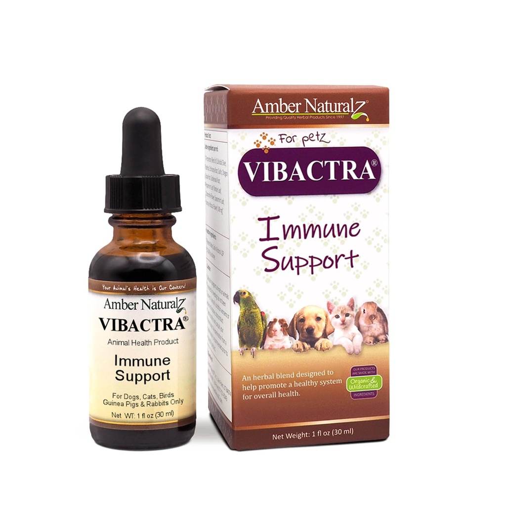 Amber NaturalZ Vibactra Immune Support Herbal Supplement för hundar, katter, fåglar, Guinea Pigs och kaniner | Pet Herbal Blend för övergripande hälsa | 1 Fluid Ounce Glass Bottle | Tillverkad i USA