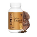 Vita Green Lingzhi Mushroom kapselit energian, muistin, ja Immuuni tuki ... Pure Reishi täydentää luonnon antioksidantteja hyvinvointi ja energia 72 kapselia