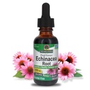 Nature's vastaus Echinacea Alkoholiton uute 1 neste Ounce ... Edistää yleistä hyvinvointia...