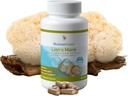 MushroomScience Lions Mane Sienikapselit, Muisti & Keskittyminen Tuki, Full Spectrum Extract, Sienen täydentää aikuisille, Kuuma vesi uutteita sieniä, Kasvisruokaa, 300MG, 90 ct