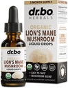 Lions Mane Sieni täydentää Drops - Organic Lion's Mane Sieni Liquid Tincture for Focus, Fog Brain Health Lisäravinteet - Vegan Herbal Nervine Nootrophic Organic Lions Lions Lions Liquid Supplement Extract 1oz