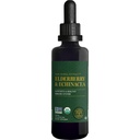 Global Healing USDA Organic Elderberry & Echinacea Liquid Supplement Tincture | Antioxidant Immune Support mot skadliga organismer för vuxna och barn, Vegan, icke-GMO, 1-månaders leverans (2 Oz)