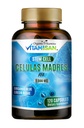 Cellulas Madres AFA Stem Natural Cell 120 kapselia 1000 mg Blue Green Algae Ei GMO:ita Gluteeniton Aphanizomenon Flos-aquae celula Madre-tuki