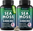 Sea Moss Capsules - Irish Sea Moss Advanced kanssa Burdock Root, Blackdercrack & Muira Puama for Immuniteetti, Gut, & energia - Superfood Sea Moss täydentää w / Raw Sea Moss Powder (2 Pack)