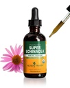 Herb Pharm Certified Organic Super Echinacea Liquid Extract Drops för Active Immune System Support, 2 Oz
