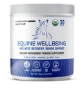 Om Mushroom Matrix - Equine ... Wellbeing...