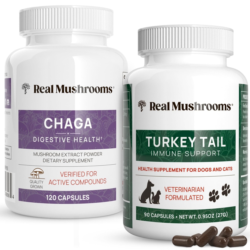 Real Mushrooms Chaga for Humans (120ct) & Turkey Tail for Lemmikkieläimet (90ct) - Bundle for digestive Health and Immunet - Vegan, non-GMO, Grain-free, Gluteenittomat sieniuutekapselit