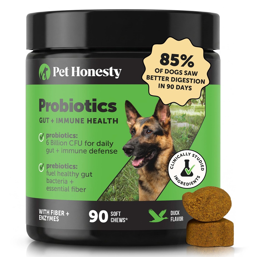 Lemmikki Rehellinen Probiootit koirille satunnaisia ripuli & Bowel tuki, digestiivinen Enzyme prebiootit Gut Health koirille, immuniteetit terveys & kutina helpotus (ankka 90 t)