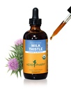Herb Pharm Milk Thistle siemenuutetta maksan toimintaa tukea - 4 Ounce (DMILK04)