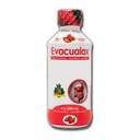 Senna Liquid Laxative for Adults & Kids - Strawberry Flavor, Natural Senna Leaf & Prune - Stool Softener for Constipation Relief - Herbal Syrup för tarmstöd, Digestive Cleanse - 8oz