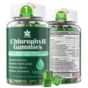 Kloorifylli Gummies - Super Green Wheat Grass, Sea Moss, suodattamaton ACV & Elderberry, Echinacea, Sinkki Complex & D3, C, E, B12 Natural Deodorant, Immuno & Digestion Support, 60 Chews
