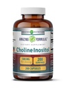 Hämmästyttävä Formula Koliini & Inositoli Supplement 