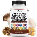 Lions Mane Sieni täydentää Turkki Tail Reishi Cordyceps Chaga vaahtokarkki juuri - 1-pakkaus