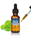 Herb Pharm Organic Nootropic Brain & Memory Supplement Ginkgo Biloba Liquid Extract: Nopea imeytyminen Mental Focus Support, Ginkgo Supplement, Vegaani, Gluteeniton, 1 Oz