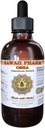 Havaiji Pharm OSHA (Ligusticum porteri) Liquid Extract, Tincture, Herbal Supplement, Made in USA, 2 fl.oz