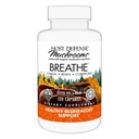 Isäntäpuolustus hengitys * Kapselit - Immuuni- ja hengitysteiden tuki sieni täydentää - Herbal Lung Health täydentää Chaga, Reishi & Cordyceps - 120 kapselia (60 tarjoilua) *