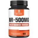 NAD+ Tillägg med Nicotinamide Riboside 500mg - Cellular Energy & Repair, Healthy Aging, Wellness - 90 kapslar - 3 månaders leverans
