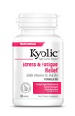 Kyolic Aged valkosipuliuute Formula 101 Stressi ja väsymys helpotus, 100 tablettia.