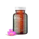 Native Formula Palauta 3 Proteolyyttinen Enzyme & Spore Probiootti Blend täydentää - 60 kapselia - Advanced Biofilm Disruption Aid - Tuki GI Terveys, Fibromyalgia, Gut Flora, Lihas