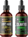 HERBIFY Bundle - Lions Mane Drops & Cilantro Tincture - Aivojen Boost & Body Detox