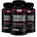 FORCE FACTOR Tribulus Terrestris miehille, 3-pack, Tribulus Testosteroni Booster miehille, Mies elinvoimainen täydentää, Tribulus uute & luonnon ainesosat Superior Imeytyminen, 1000 mg, 180 kapselia