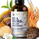 HAPPY FOX Irish Sea Moss Liquid Drops & Mushroom Tincture - Seamoss med 7 Adaptogenic Mushroom Extracts för kognitivt stöd & Gut Health, Mushroom Coffee Elixir, Pure Vanilla Flavor